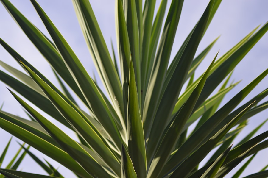 Treści evergreen - definicja i zastosowanie