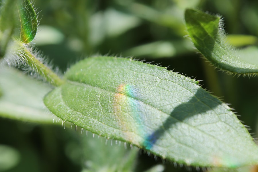 Treści evergreen - definicja i zastosowanie